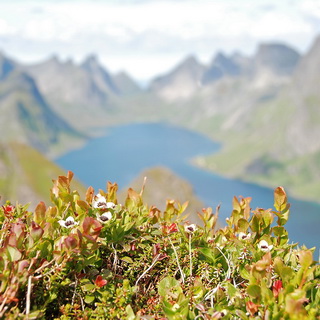 Reinebringen